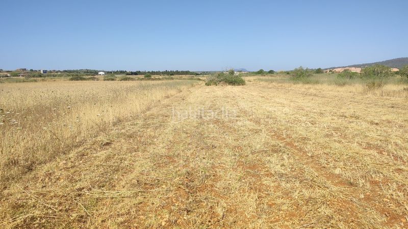 Foto ab49e0f5-3c35-4730-aa54-d5a74eef2c15. Finca rústica a n/a a Petra