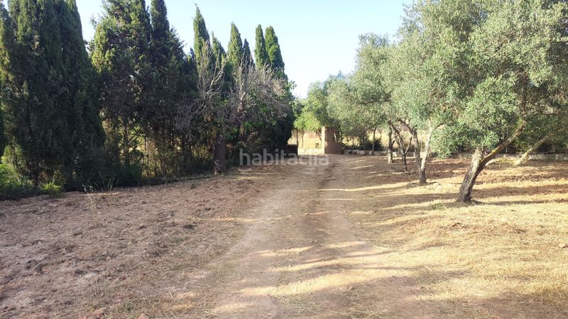 Foto 5bcc63da-1b90-4179-919a-245ed459c6bd. Xalet a diseminado diseminados var 261 a Sant Joan