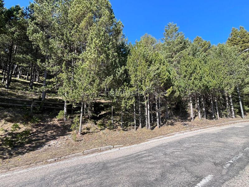 Foto dc1d16d0-dfa6-4975-a5e5-5548db567f4c. Terreny residencial a Coma i la Pedra (La)