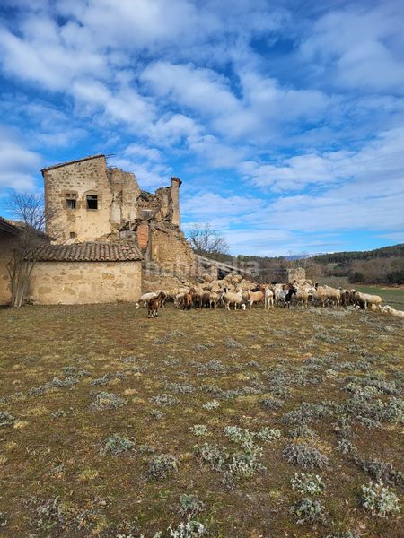 Foto 0be3cce4-1c12-4e57-82bc-aeaf2064a94f. Finca rústica a Pinell de Solsonès