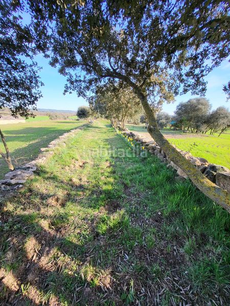 Foto 362b6467-3b15-48ab-8ac6-8e8305a383de. Finca rústica a Pinell de Solsonès