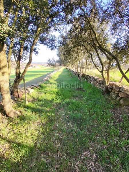 Foto ca4306ab-e94e-4c1d-a008-7d41276a6f2b. Finca rústica a Pinell de Solsonès