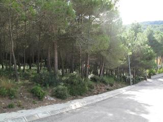 Terreny residencial a Olesa de Bonesvalls. Gran parcela para uso residencial
