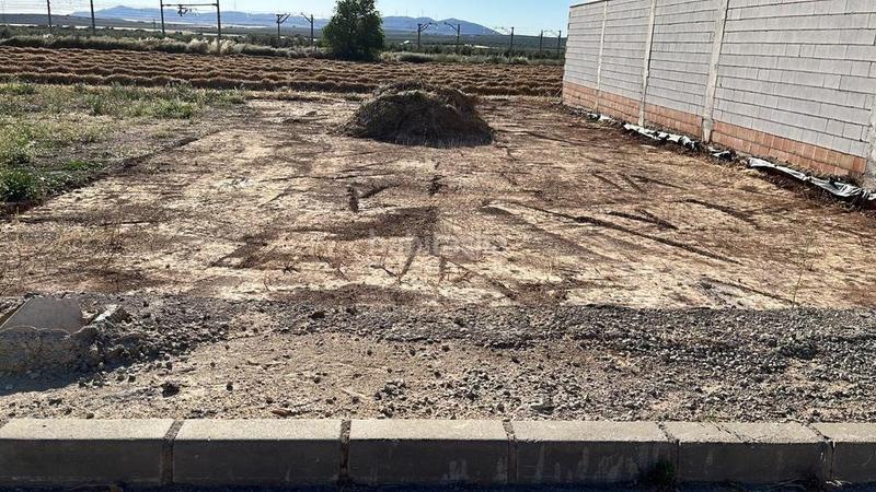 Foto aac05f22-d238-49db-a894-d68ce26dca78. Terrain résidentiel dans Fuente de Piedra