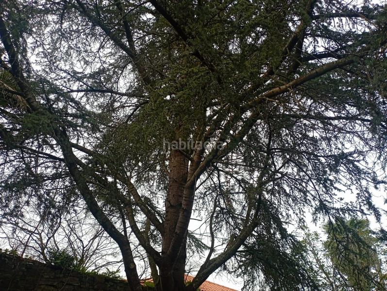 Foto 47a9b72a-5b05-4f49-b6c7-006663062396. Masia amb calefacció aparcament piscina a Cabueñes Gijón