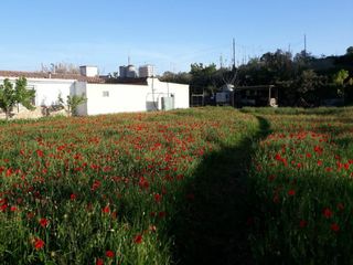 Casa en Barber de la Conca. Finca rustica para reformar en barber de la conca