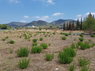 Terrain résidentiel à Olesa de Montserrat. Solar para uso comercial o industrial olesa de montserrat