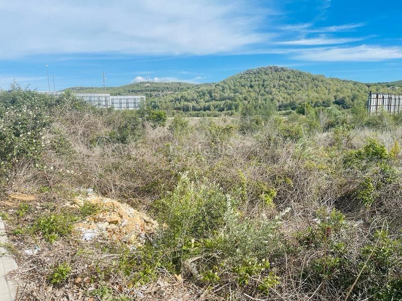 Foto ab742367-08a9-4489-b039-8e0859dbfbd8. Terreny residencial a Mas romeu Calafell