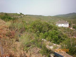 Terreny residencial a Bisbal del Penedès (La). Terreno urbano en, la bisbal del penedes
