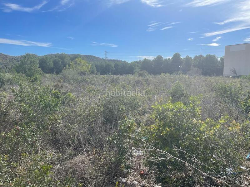 Foto b36e9ddd-b896-4b0f-b3e0-999c4b8cea9c. Terrain industriel dans Mas romeu Calafell