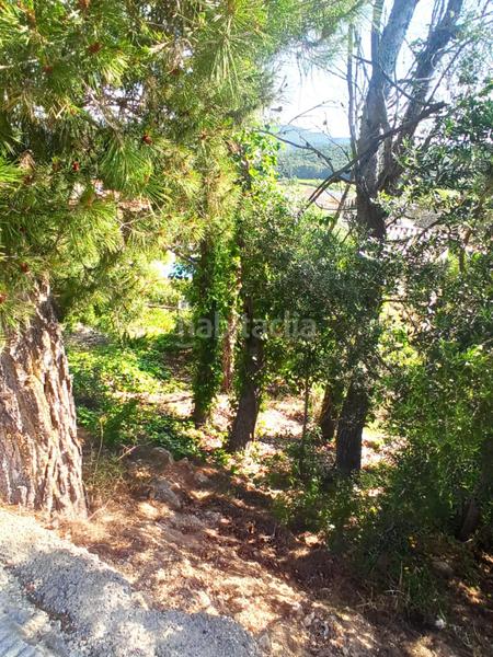 Foto 2cc8d47d-d3e6-4b0a-9bb6-2109be7415f3. Terreno residenziale in Canyelles