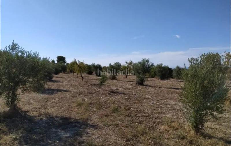 Foto 0b38181e-8d80-4c8e-bdca-f08f80ca6769. Finca rústica a Castelldans