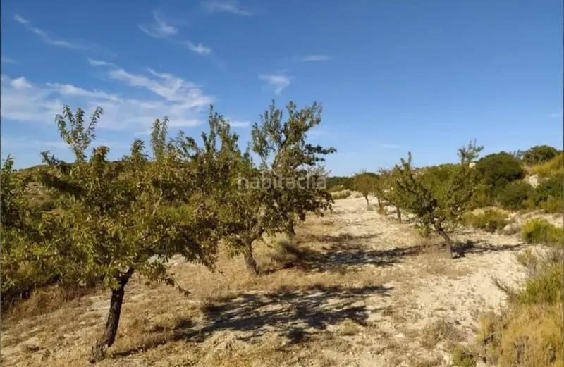 Foto 4461204b-7999-4878-993e-705dc933b1c2. Finca rústica a Castelldans