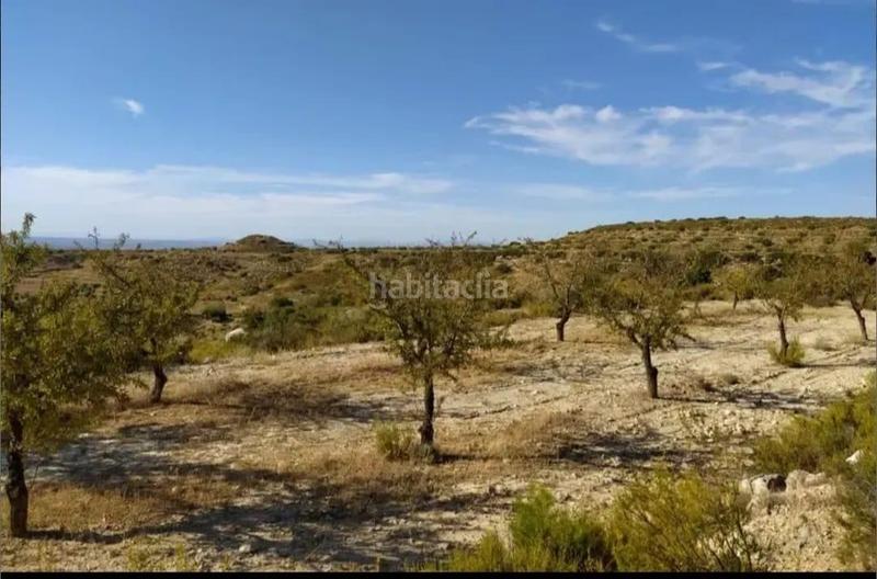 Foto 4f8c79fc-b1be-4281-9977-dc7b03165cbb. Finca rústica a Castelldans