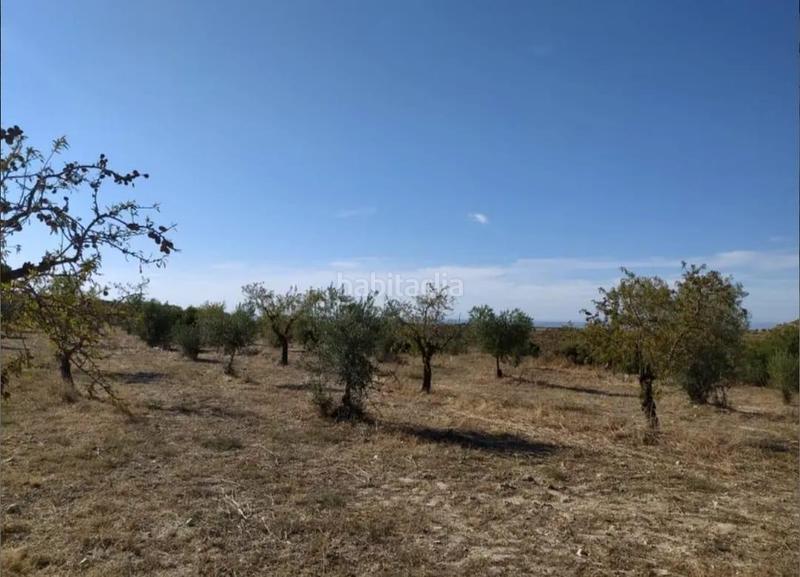 Foto ea9ff5b7-f4e6-44d6-aeba-8d094b1b9d56. Finca rústica a Castelldans