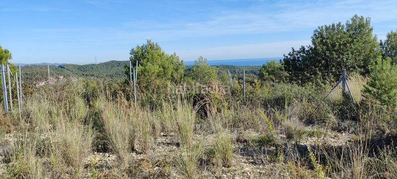 Foto ec4343e0-af1c-46e4-aadf-e1ac3dcfd1c2. Terreno residenziale in Segur de dalt Segur de Calafell
