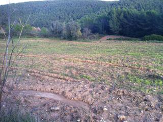 Finca rústica a Castellet i la Gornal. Finca de cultivo de 11.308 m2 en ctra clariana