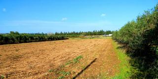Finca rústica a Santa Maria. Finca rústica en camí vell de cubelles con casa a rehabilitar
