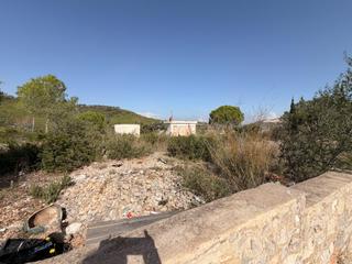 Terreny residencial a Canyelles. Fantástica parcela en cogulla 2