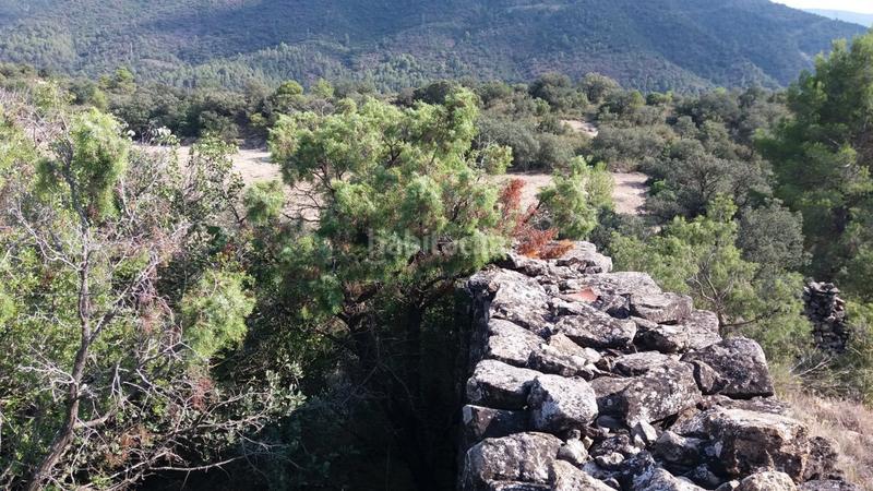 Foto 662629c4-359a-4452-9cd9-2493460e3ff6. Country house in Àger