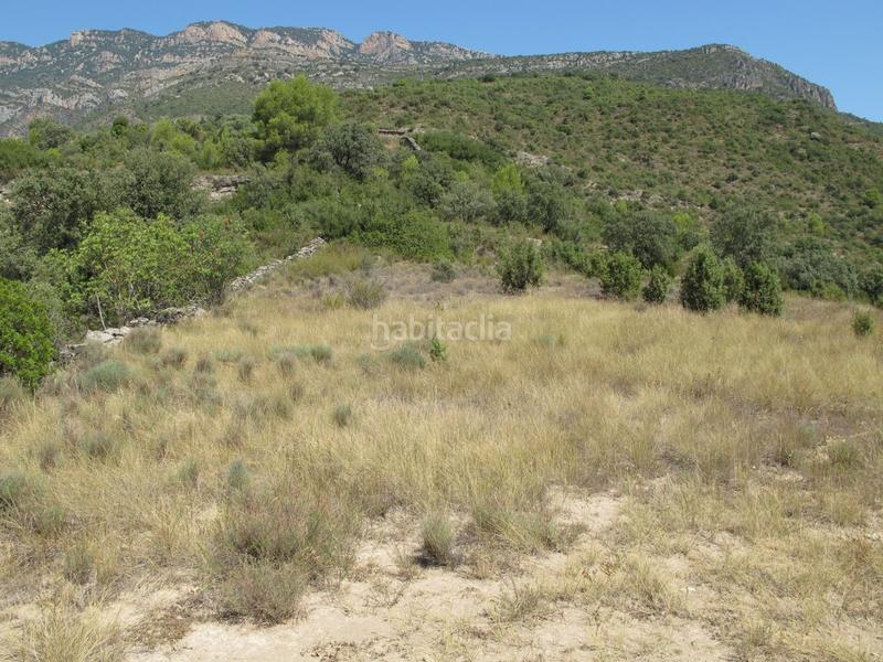 Foto 8dc9d6a1-27db-41ae-b477-1a58562f60e1. Country house in Àger