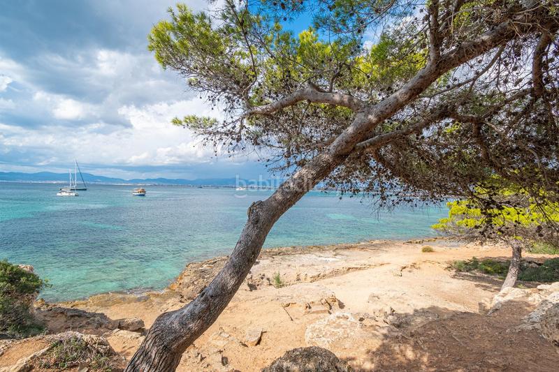 Foto 4a23ff65-d1e0-43be-80d0-aa9595788b52. Affitto appartamento con parcheggio in Son Verí Llucmajor