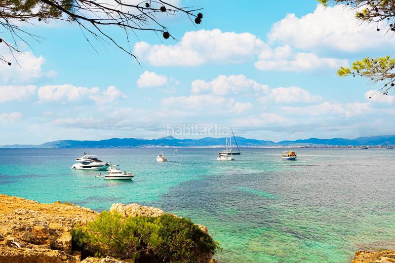 Foto 63c43004-15da-4c43-a548-c1dc112eee6e. Affitto appartamento con parcheggio in Son Verí Llucmajor