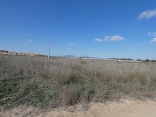 Residential Plot in Balsicas