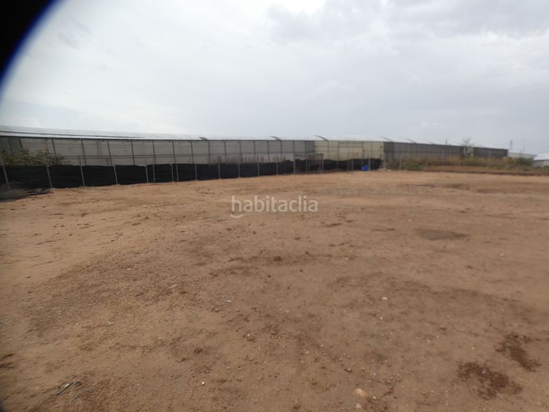 Foto 0e1a54fb-bed9-4140-9909-a712c1e94631. Finca rústica parcela rústica 2.000 m2 . en San Javier San Javier
