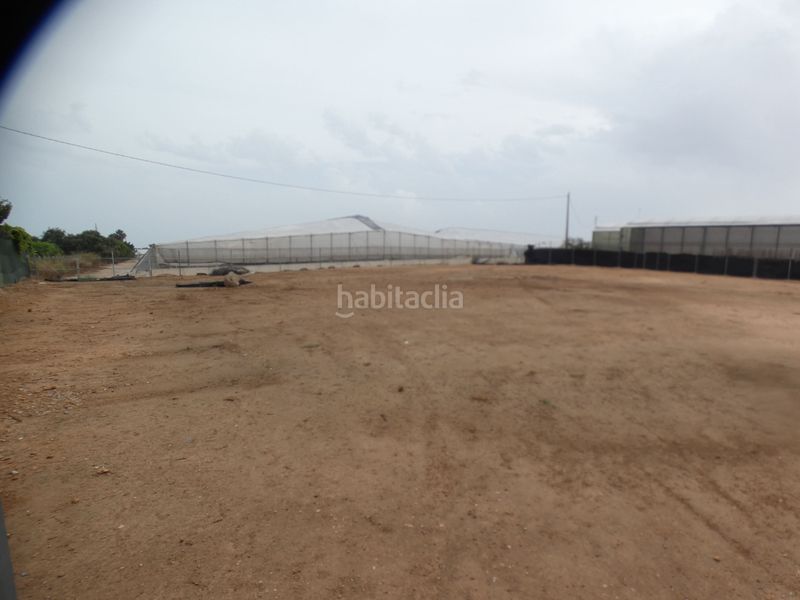 Foto 75c67421-655d-4d23-96b8-44fa72829171. Finca rústica parcela rústica 2.000 m2 . en San Javier San Javier