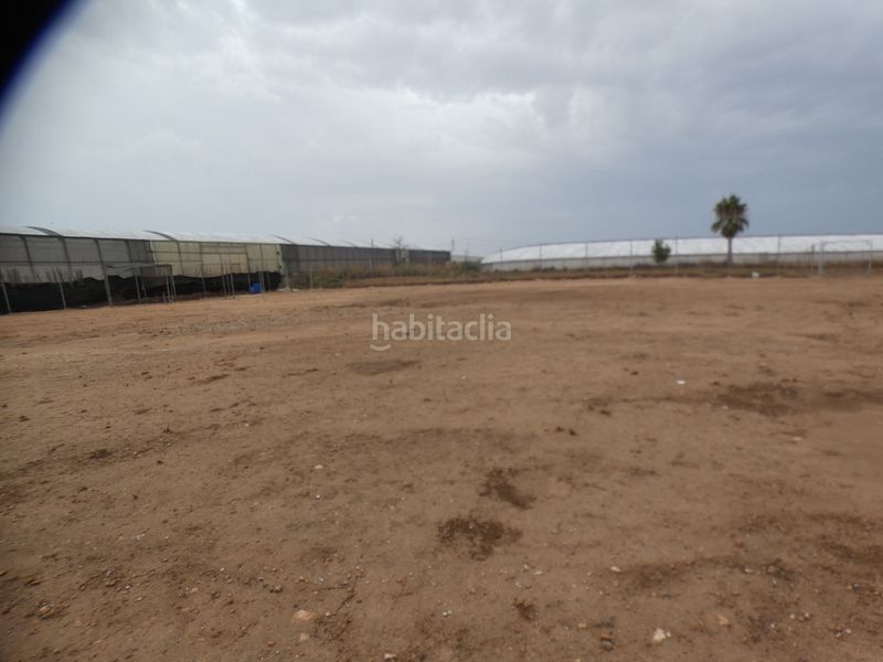 Foto d442ab65-a939-4c9a-b61a-a67843621c38. Finca rústica parcela rústica 2.000 m2 . en San Javier San Javier