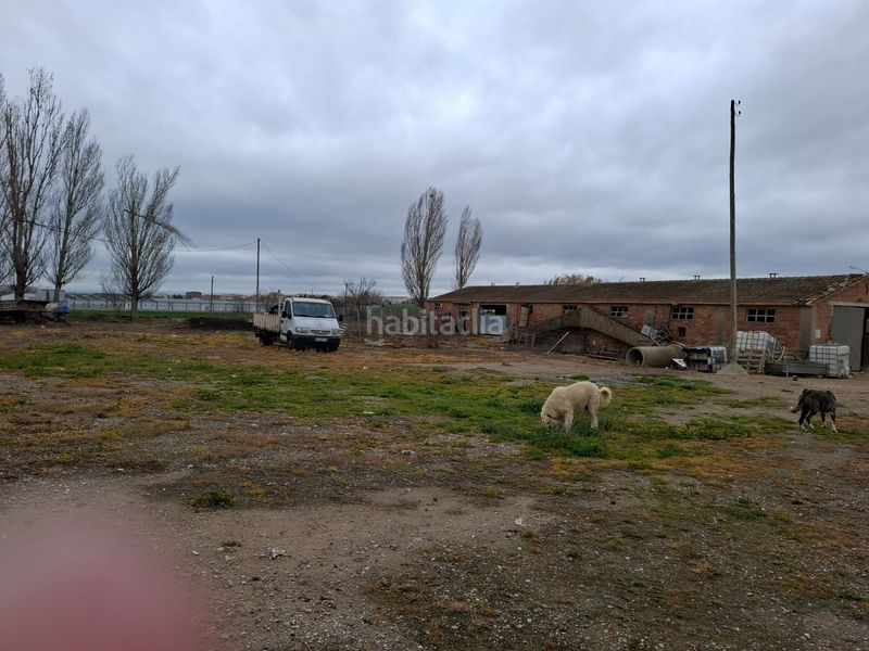 Foto 110ab158-de88-43e0-ae45-bfe3868e623f. Capannone industriale in Linyola