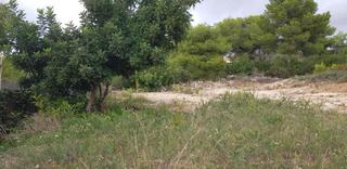 Terreny residencial a Coma-ruga Platja. Parcela en venta en playa.