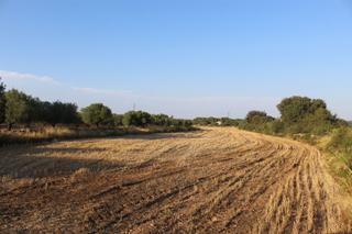 Finca rústica a Banyeres del Penedès. Finca rúst. en venta en saiforas.
