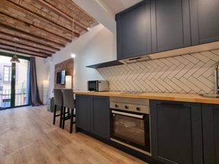 Location Appartement  Bac de roda. Alquiler de un acogedor piso temporal en poblenou, barcelona cap