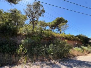 Terreny residencial a Calle Santa Elena