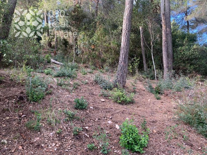 Foto f5e84d90-8f2f-44f6-b3e3-9bf59e4158d1. Wohngrundstück in Cervelló