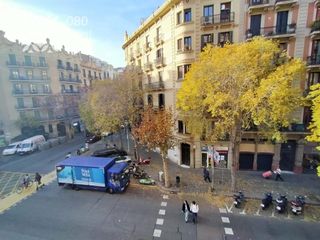 Pis a D'Aribau