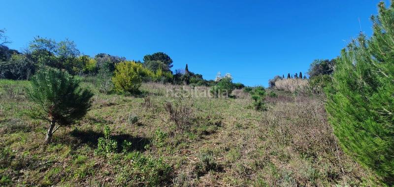 Foto 5208de4f-5894-42c6-84ed-c2a15c590f1d. Finca rústica a Dreta de l´Eixample Barcelona