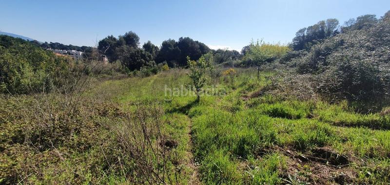 Foto 9a88a11b-6ea5-406d-a3a6-56c499c9c361. Finca rústica a Dreta de l´Eixample Barcelona