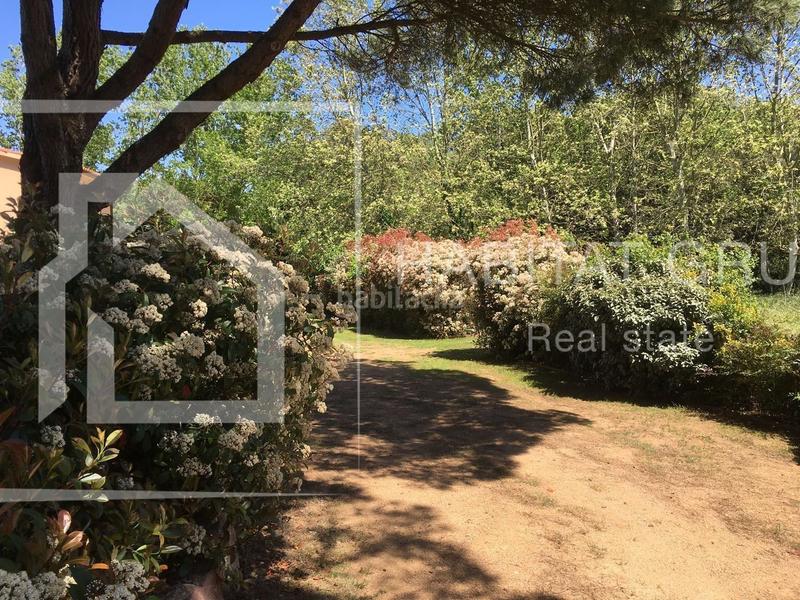 Foto 25ead9fa-8fd1-4372-a061-a68b5b00a7c0. Terreno residencial finca rustica en venta en Maçanet de la Selva poble Maçanet de la Selva