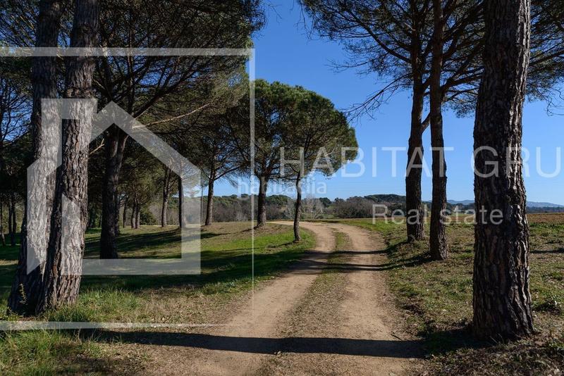 Foto 636c3049-919a-4089-b6d7-1232c11f390d. Terreno residencial finca rustica en venta en Maçanet de la Selva poble Maçanet de la Selva