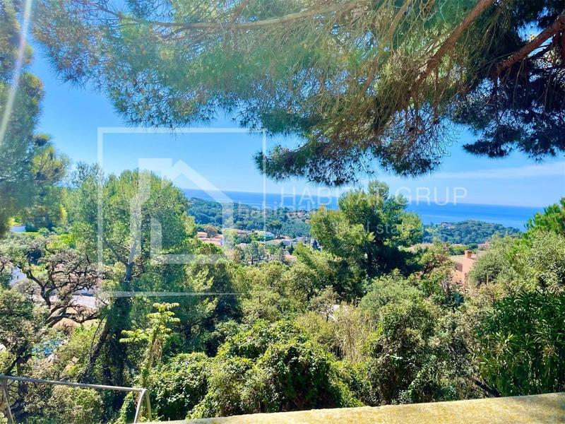 Foto 56d787e5-992e-4d22-829b-7de946c6b725. Maison dans Roca Grossa Lloret de Mar