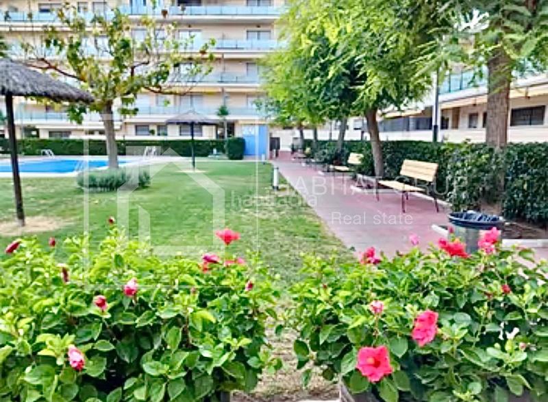 Foto 3e67cba8-f2b2-4f59-b83d-13592f5d3342. Pis a Fenals Lloret de Mar