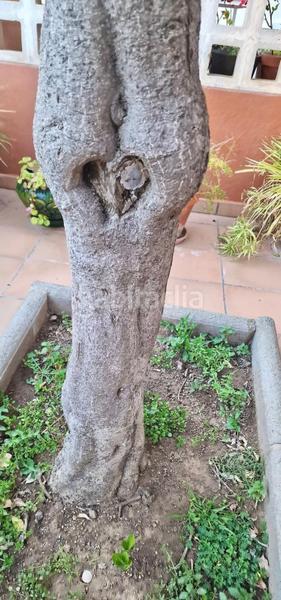 Foto 0f175f99-4caa-41e4-8287-220e45adaf07. Casa amb calefacció a La Punxa Palafrugell