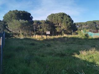 Terreny residencial a Molí de Vent-La Sauleda. Terreno urbano en palafrugell