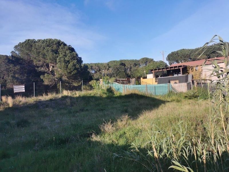 Foto e9589d91-c3ef-4213-a693-29d0f697bf7e. Terreny residencial a Molí de Vent-La Sauleda Palafrugell
