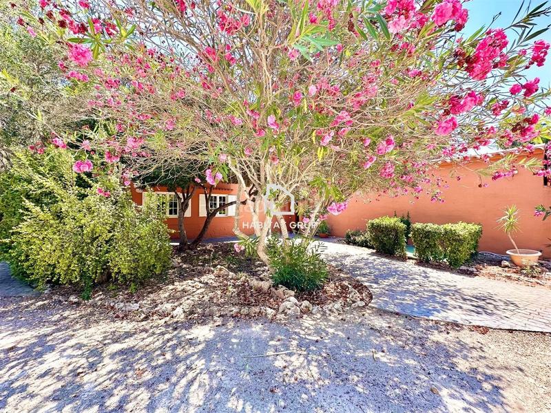 Foto a053484d-a922-46ba-b58b-d75e6b0a0033. Masía casa en Llucmaçanes, menorca en Llucmaçanes Maó