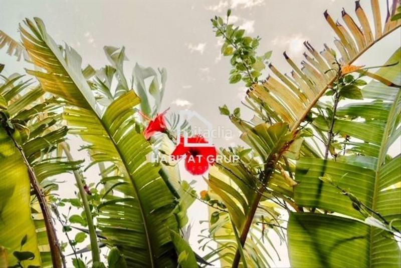 Foto d0898fbe-0112-47fb-bbd5-d829820949ab. Casa  en montroig del camp en Poble Mont-roig del Camp