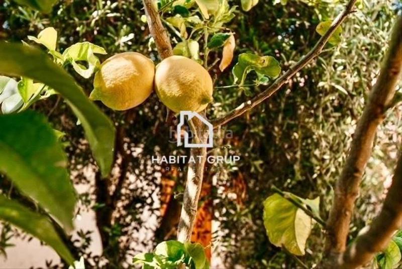 Foto e5e07a75-a4e4-4b21-ad5a-63828d74cae2. Casa  en montroig del camp en Poble Mont-roig del Camp